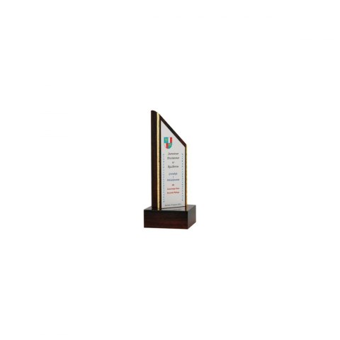 Trofeum Z Tworzywa Sztucznego Grawerowane Trofeum Z Tworzywa Sztucznego Grawerowane
