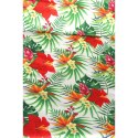 HAMAK FOTEL BRAZYLIJSKI 100x50CM NATURA TROPIC JUNGLE ROYOKAMP