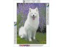 Haft Diamentowy, Obraz, Mozaika Diamentowa Diamond Painting, PIES SAMOYED 30x40cm