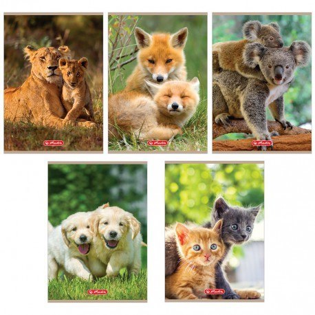 Zeszyt w podwójną linię a5 16 kartek - animals Zeszyt w podwójną linię a5 16 kartek - animals