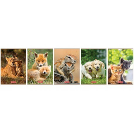 Zeszyt w podwójną linię a5 16 kartek - animals Zeszyt w podwójną linię a5 16 kartek - animals