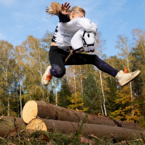 Hobby horse koń na patyku kiju dla dziecka duży A3 Hobby horse koń na patyku kiju dla dziecka duży A3