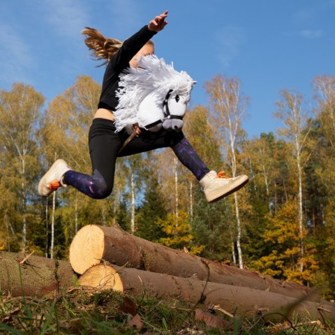 Hobby horse koń na patyku kiju dla dziecka duży A3 Hobby horse koń na patyku kiju dla dziecka duży A3