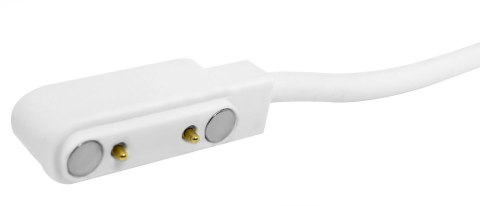 Kabel ładujący do Smartwatcha Giewont GW230 GWK6 Kabel ładujący do Smartwatcha Giewont GW230 GWK6