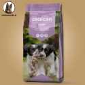 PRÓBKA Cebican Puppy dla szczeniąt 60g