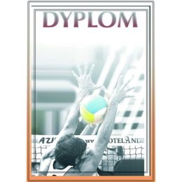 Dyplom Papierowy - Siatkówka (25 Szt.)