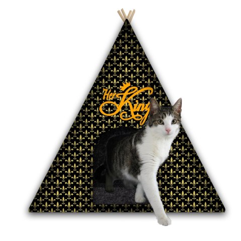 Tipi dla Psa/kota z poduszką HER KING L Tipi dla Psa/kota z poduszką HER KING L