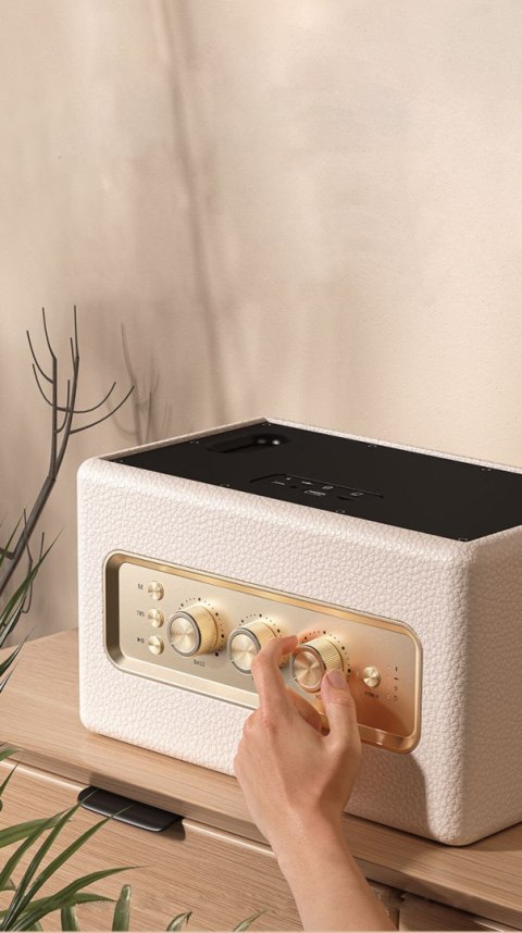 WEKOME Beluga D10 Chiseny - Bezprzewodowy głośnik Bluetooth V5.3 (Biały) WEKOME Beluga D10 Chiseny - Bezprzewodowy głośnik Bluetooth V5.3 (Biały)