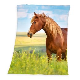 Kocyk polarowy 130x160 Koń na łące 5108 Konik Horse pled dziecięcy