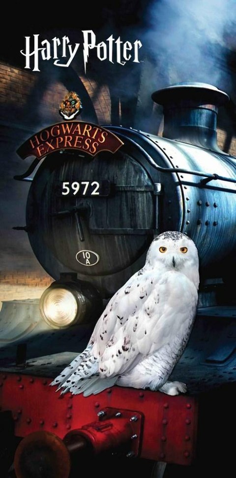 Ręcznik plażowy 70x140 Harry Potter sowa Hedwiga pociąg 8797 dziecięcy