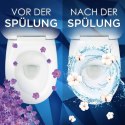 WC-Frisch WC-Reiniger Lavendel&Baumwoll Blute 50 g