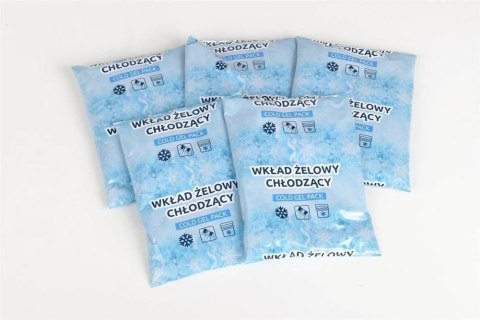 Wkład żelowy chłodzący do lodówek 480gr Wkład żelowy chłodzący do lodówek 480gr