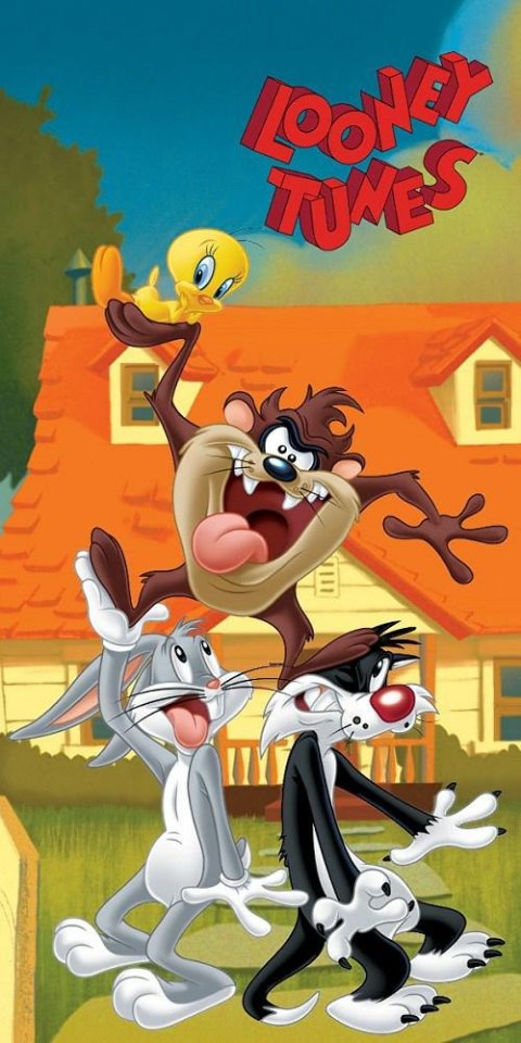 Ręcznik dziecięcy 70x140 LOONEY TUNES plażowy bawełniany C24