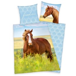 Pościel bawełniana 140x200 Koń 5146 Konik Horse błękitna poszewka 70x90