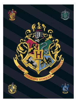 Koc polarowy 120x140 Harry Potter