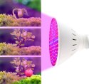 Lampa 200 LED do wzrostu uprawy roślin