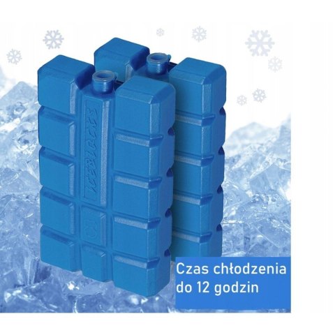 WKŁAD DO LODÓWKI 2X200GR WKŁAD DO LODÓWKI 2X200GR