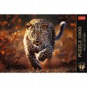 Puzzle Photo Odyssey: Dziki Leopard 1000 elementów Trefl premium plus 10818