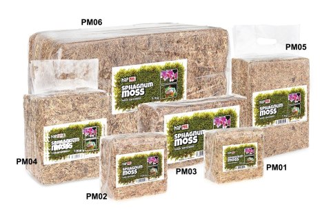 Mech torfowiec Sphagnum moss 500g Mech torfowiec Sphagnum moss 500g