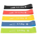 ZESTAW GUM DO ĆWICZEŃ FITNESS CROSSFIT MINI BAND 5W1 ENERO FIT