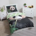 Pościel bawełniana 140x200 Miś Panda pandy liście 6435 poszewka 70x90 bear