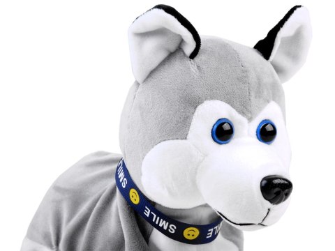 Interaktywny piesek Husky reaguje na dotyk ZA1333 Interaktywny piesek Husky reaguje na dotyk ZA1333