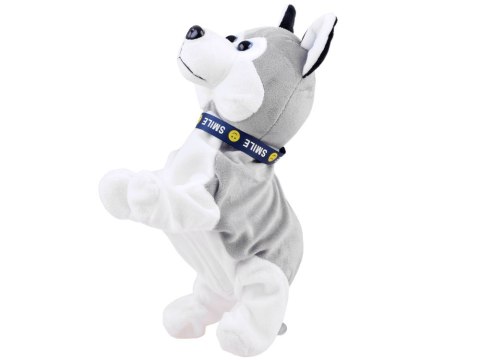 Interaktywny piesek Husky reaguje na dotyk ZA1333 Interaktywny piesek Husky reaguje na dotyk ZA1333
