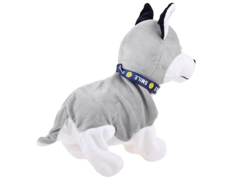 Interaktywny piesek Husky reaguje na dotyk ZA1333 Interaktywny piesek Husky reaguje na dotyk ZA1333