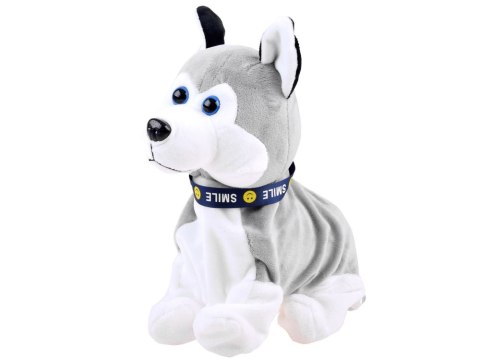 Interaktywny piesek Husky reaguje na dotyk ZA1333 Interaktywny piesek Husky reaguje na dotyk ZA1333