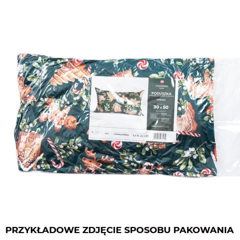 SZKOTI CHOINKI Poduszka z wypełnieniem silikonowym dwustronna MICROFIBRA, 30x50cm, kolor 001 biały (do wyczerpania zapasu) TBN01 SZKOTI CHOINKI Poduszka z wypełnieniem silikonowym dwustronna MICROFIBRA, 30x50cm, kolor 001 biały (do wyczerpania zapasu) TBN01