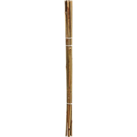 PODPORA DO ROŚLIN 60cm BAMBUS 10SZT PROGARDEN PODPORA DO ROŚLIN 60cm BAMBUS 10SZT PROGARDEN