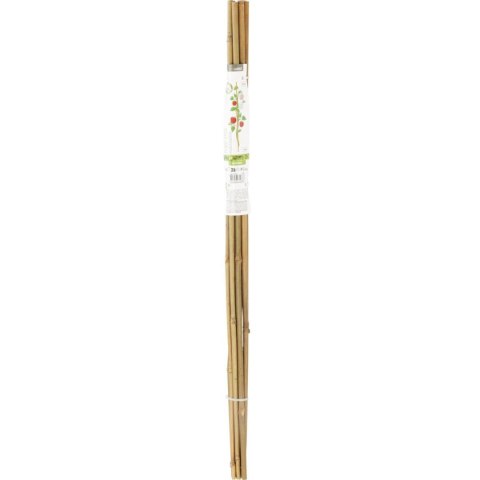 PODPORA DO ROŚLIN 60cm BAMBUS 10SZT PROGARDEN PODPORA DO ROŚLIN 60cm BAMBUS 10SZT PROGARDEN