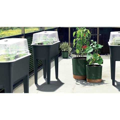 DONICZKA DO SADZENIA POMIDORÓW Z DRABINKĄ POJEMNOŚCI 28L HOME GROWER - ZIELNA PINIA DONICZKA DO SADZENIA POMIDORÓW Z DRABINKĄ POJEMNOŚCI 28L HOME GROWER - ZIELNA PINIA