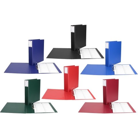 Segregator do akt osobowych Biurfol A4/5.5cm 2R zi Segregator do akt osobowych Biurfol A4/5.5cm 2R zi