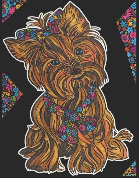 Kolorow. Welw. 29,7x21 Yorkshire Terrier