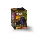 Żarówka Terra Night Heat Blue 60W