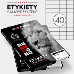 ETYKIETY 52.5 X 29.6 MM. 40 SZT/A4 EMERSON UNIWERSALNE