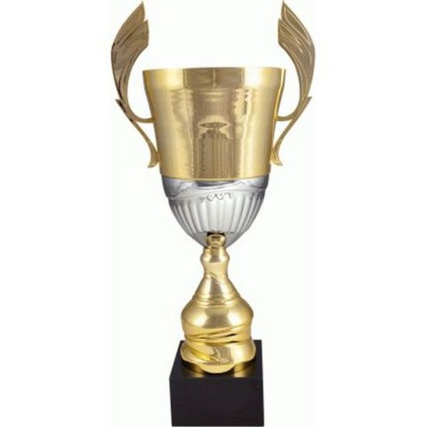 Puchar Metalowy Złoto-Srebrny 4128C Puchar Metalowy Złoto-Srebrny 4128C