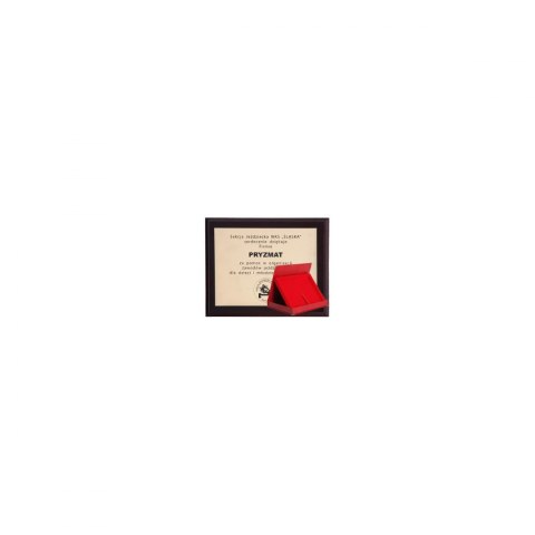 Podkład Z Tworzywa Sztucznego Z Laminatem Grawerowany + Etui 305X245 Mm Podkład Z Tworzywa Sztucznego Z Laminatem Grawerowany + Etui 305X245 Mm