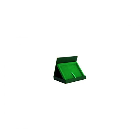 Etui Z Tworzywa Sztucznego Poziome W Kolorze Zielonym - Na Deskę 250X200 Etui Z Tworzywa Sztucznego Poziome W Kolorze Zielonym - Na Deskę 250X200